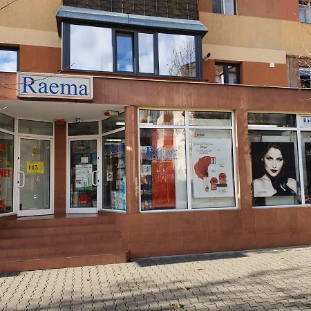 Raema Cetate Apartament Apartment Alba Iulia Exterior photo