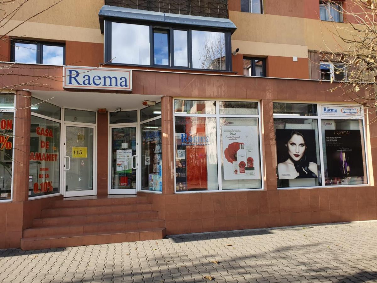 Raema Cetate Apartament Apartment Alba Iulia Exterior photo